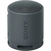 Портативная колонка Sony SRS-XB100 Black (SRSXB100B)