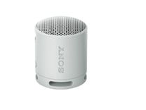 Портативная колонка Sony SRS-XB100 Серый (SRSXB100H.CE7)