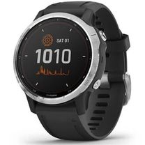 Смарт-годинник Garmin Fenix 6S Solar Silver with black band (010-02409-00)
