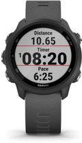 Спортивные часы Garmin Forerunner 245 Slate Gray (010-02120-00)