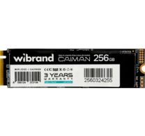 SSD накопитель Wibrand Caiman M.2 2280 256GB (WIM.2SSD/CA256GB)