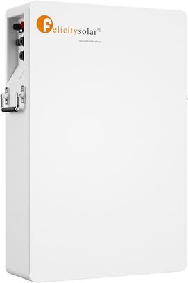 Аккумулятор FelicityESS LiFePO4 LPBA48100-OL 48v 100Ah - фото 2