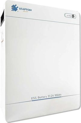 Батарея LiFePo4 Leapton EL-A05 51.2V - 100Ah (EL-A05) - фото 2