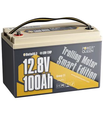 Акумуляторна батарея з Bluetooth 12.8В 100А*год LiFePO4 Low-temp Power Queen P12V100-100-LTP-BT-4-A100 - фото 1