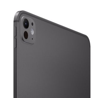 Apple iPad Pro 11 2024 Wi-Fi + Cellular 2TB Space Black with Nano-texture Glass (MWRR3) - фото 3