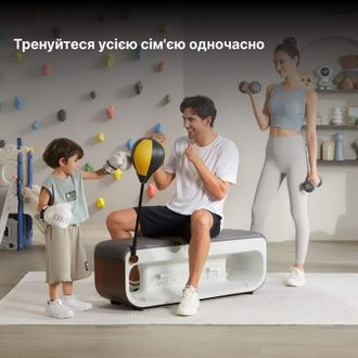 Багатофункціональна фітнес-лава KingSmith Free-Fit Bench FBB1C - фото 5