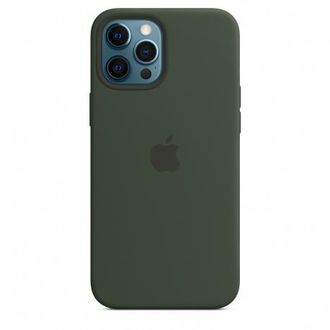 Чохол silicone Case iPhone 12 Pro Max Cyprus Green - фото 1