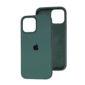 Чохол Silicone Case Open Camera iPhone 13, #60, Cactus - фото 1