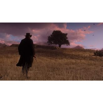 Игра для PS4 Red Dead Redemption 2 (5026555423052) - фото 10 Игра для PS4 Red Dead Redemption 2 (5026555423052) - фото 10