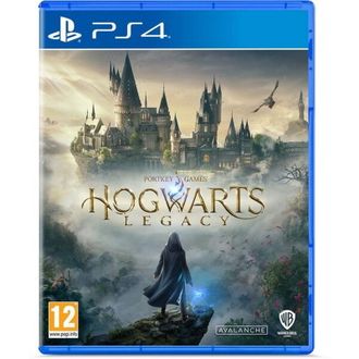 Гра для PS4 Hogwarts Legacy (5051895413418) - фото 1