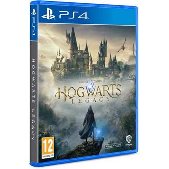 Гра для PS4 Hogwarts Legacy (5051895413418) - фото 2