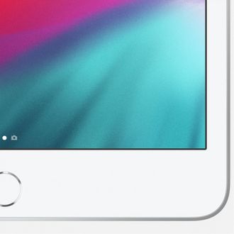 Apple iPad mini 5 Wi-Fi + Cellular 64GB Silver (MUXG2, MUX62) - фото 3