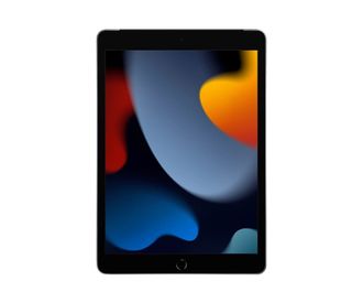Вживаний Apple iPad 2021 10.2" Wi-Fi + Cellular 64GB - Space Gray (MK663) - фото 2