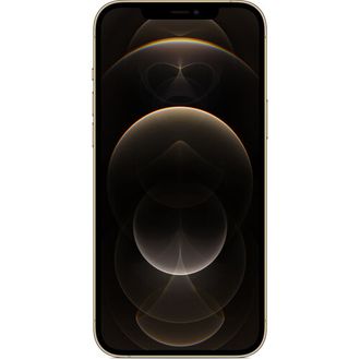 Apple iPhone 12 Pro Max 128GB Gold (MGD93) - фото 2 Apple iPhone 12 Pro Max 128GB Gold (MGD93) - фото 2