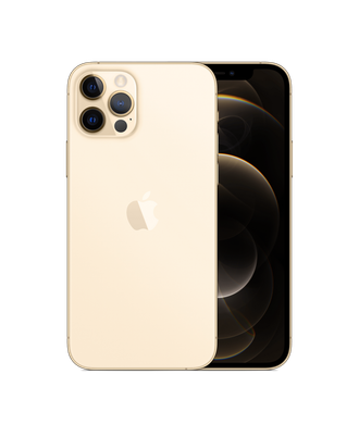 Apple iPhone 12 Pro Max 256GB Gold (MGDE3) - фото 1