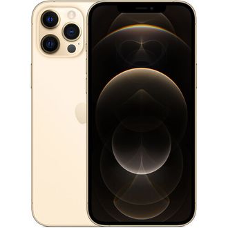 Apple iPhone 12 Pro Max 256GB Gold (MGDE3) - фото 2