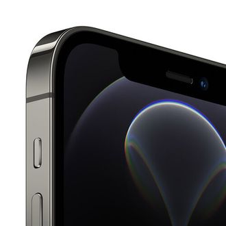 Apple iPhone 12 Pro 256GB Graphite (MGMP3/MGLT3) - фото 3