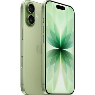 Apple iPhone 17 256GB Sage (MG6N4) - фото 1