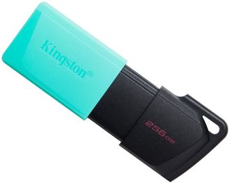 Накопичувач Flash Kingston USB 3.2 DT Exodia M 256GB Black/Teal (DTXM/256GB) - фото 1 Накопичувач Flash Kingston USB 3.2 DT Exodia M 256GB Black/Teal (DTXM/256GB) - фото 1