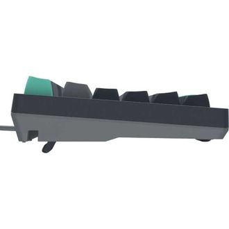 Клавиатура A4Tech Fstyler FS300 Panda Rock Climbing - фото 3