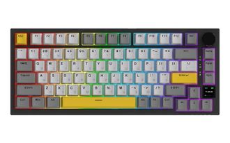 Клавиатура Ajazz AK820 PRO 75% Flying Fish Switch Black RGB (AK820PRO-FF-BGY) - фото 1 Клавиатура Ajazz AK820 PRO 75% Flying Fish Switch Black RGB (AK820PRO-FF-BGY) - фото 1