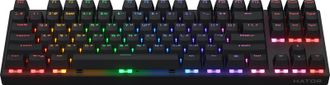 Клавиатура HATOR Icefall Mecha TKL wireless Rainbow (HTK287UA) black - фото 2