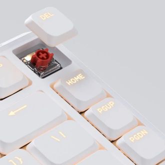 Клавиатура Keychron J1 82Key, K pro Red, WL/BT/USB-A, QMK, Hot-swap, EN/UKR, RGB, White (J1-Q1-UA) - фото 2 Клавиатура Keychron J1 82Key, K pro Red, WL/BT/USB-A, QMK, Hot-swap, EN/UKR, RGB, White (J1-Q1-UA) - фото 2
