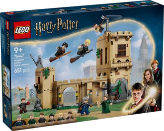 Конструктор Lego Harry Potter Уроки польотів (76447) - фото 1 Конструктор Lego Harry Potter Уроки польотів (76447) - фото 1