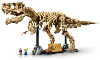 Конструктор Lego Jurassic World Окаменелости динозавров: Тиранозавр рекс (76968) - фото 3 Конструктор Lego Jurassic World Окаменелости динозавров: Тиранозавр рекс (76968) - фото 3