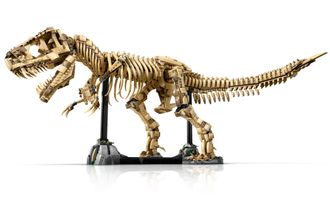Конструктор Lego Jurassic World Окаменелости динозавров: Тиранозавр рекс (76968) - фото 4 Конструктор Lego Jurassic World Окаменелости динозавров: Тиранозавр рекс (76968) - фото 4