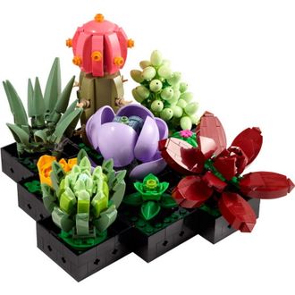 Конструктор Lego Botanicals Сукуленти (10309) - фото 7