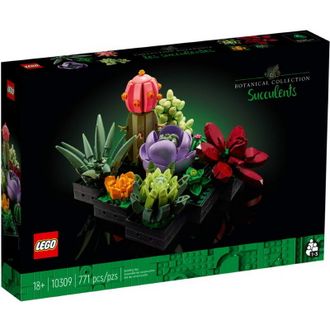Конструктор Lego Botanicals Сукуленти (10309) - фото 1