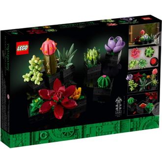 Конструктор Lego Botanicals Сукуленти (10309) - фото 2
