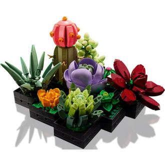 Конструктор Lego Botanicals Сукуленти (10309) - фото 3