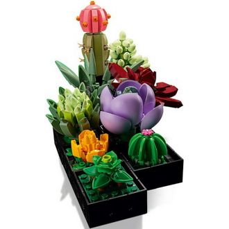 Конструктор Lego Botanicals Сукуленти (10309) - фото 4