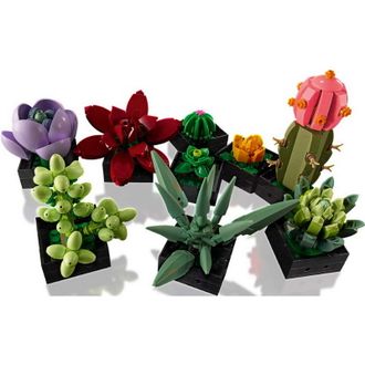 Конструктор Lego Botanicals Сукуленти (10309) - фото 5