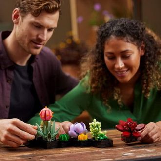 Конструктор Lego Botanicals Сукуленти (10309) - фото 6