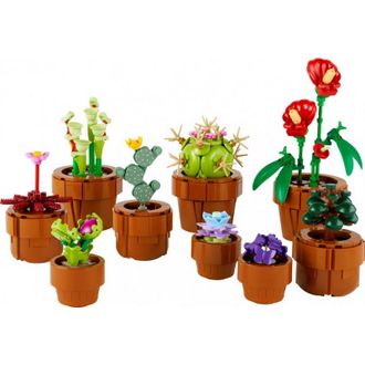 Конструктор Lego Icons Botanicals Маленькие цветы (10329) - фото 6