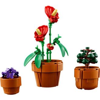 Конструктор Lego Icons Botanicals Маленькие цветы (10329) - фото 3