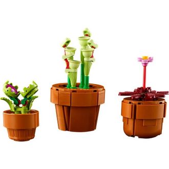 Конструктор Lego Icons Botanicals Маленькие цветы (10329) - фото 4