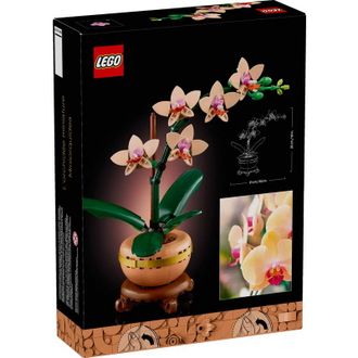 Конструктор Lego Botanicals Мини орхидея (10343) - фото 4 Конструктор Lego Botanicals Мини орхидея (10343) - фото 4