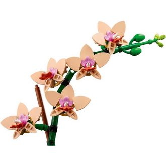 Конструктор Lego Botanicals Мини орхидея (10343) - фото 3 Конструктор Lego Botanicals Мини орхидея (10343) - фото 3