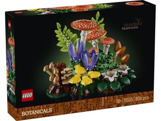 Конструктор LEGO Botanicals Лісові гриби (11505) - фото 1 Конструктор LEGO Botanicals Лісові гриби (11505) - фото 1