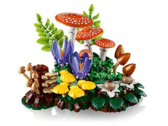 Конструктор LEGO Botanicals Лісові гриби (11505) - фото 2 Конструктор LEGO Botanicals Лісові гриби (11505) - фото 2
