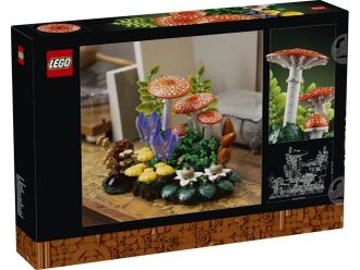 Конструктор LEGO Botanicals Лісові гриби (11505) - фото 3 Конструктор LEGO Botanicals Лісові гриби (11505) - фото 3