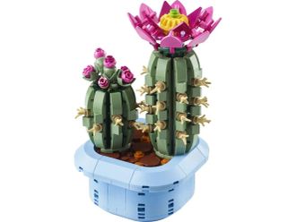 Конструктор LEGO Botanicals Цветение кактуса (11509) - фото 2 Конструктор LEGO Botanicals Цветение кактуса (11509) - фото 2