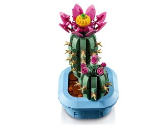 Конструктор LEGO Botanicals Цветение кактуса (11509) - фото 3 Конструктор LEGO Botanicals Цветение кактуса (11509) - фото 3