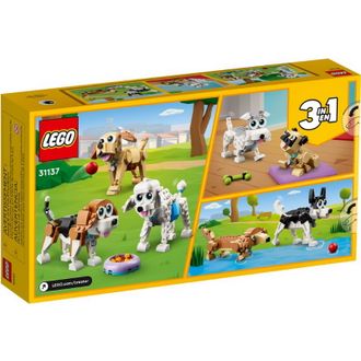 Конструктор Lego Creator Милые собачки (31137) - фото 2 Конструктор Lego Creator Милые собачки (31137) - фото 2