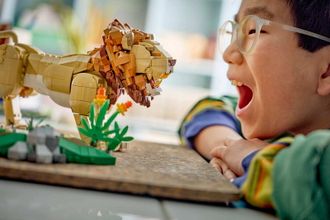 Конструктор LEGO Creator Дикі тварини: Величний лев (31386) - фото 12 Конструктор LEGO Creator Дикі тварини: Величний лев (31386) - фото 12