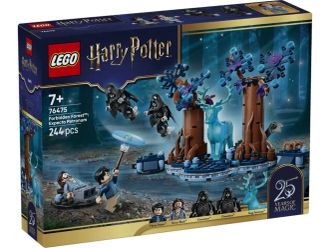 Конструктор LEGO Harry Potter Заборонений ліс: Експекто патронум (76475) - фото 1 Конструктор LEGO Harry Potter Заборонений ліс: Експекто патронум (76475) - фото 1